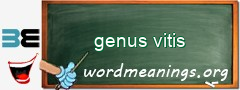 WordMeaning blackboard for genus vitis